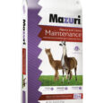 Mazuri Alpaca & Llama Maintenance Diet – 22.67 Kg