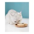 Schesir Petit Delice Cat Wet Food Can