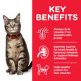 CAT_Adult_Chicken_Transition-Benefits-1