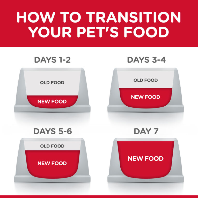 CAT_Adult_Chicken_Transition-Food-Transition