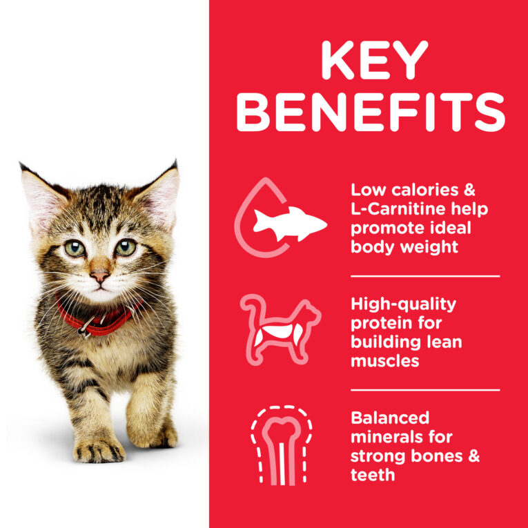 CAT_Kitten_Chicken_Pouch_Transition-Benefits